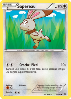 Sapereau 120/160