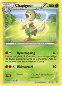 Chapignon 16/160