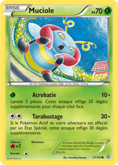 Muciole 17/160