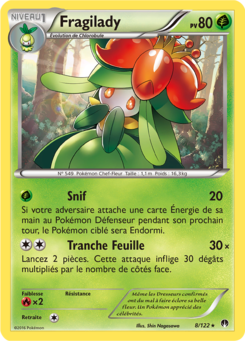 Fragilady 8/122
